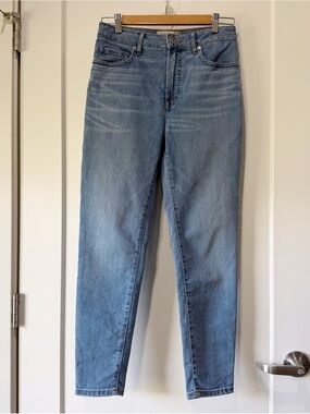 Everlane Curvy Authentic Stretch High-Rise Skinny Jean vintage blue wash size 27